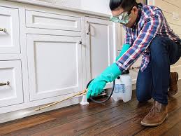 Best Real Estate Pest Inspections  in Secaucus, NJ